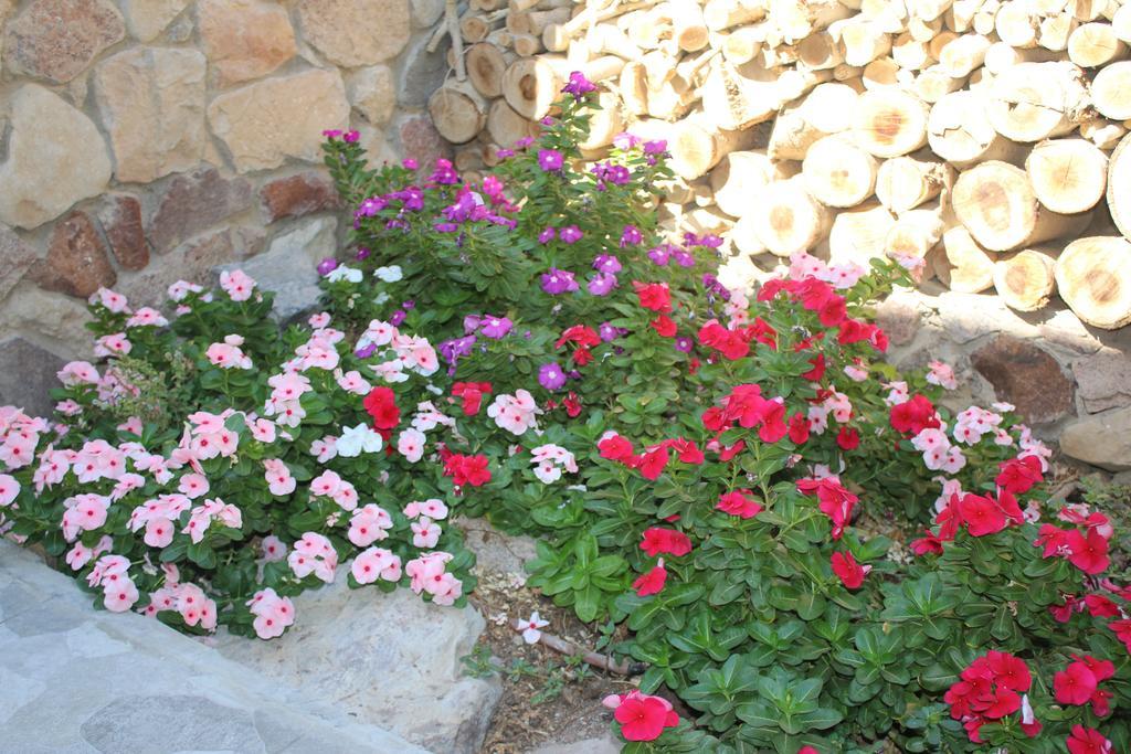 Modern&Quiet Place Eilat Exteriör bild